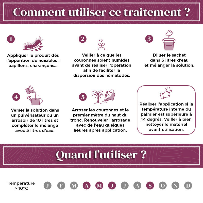 Anti ravageurs des palmiers