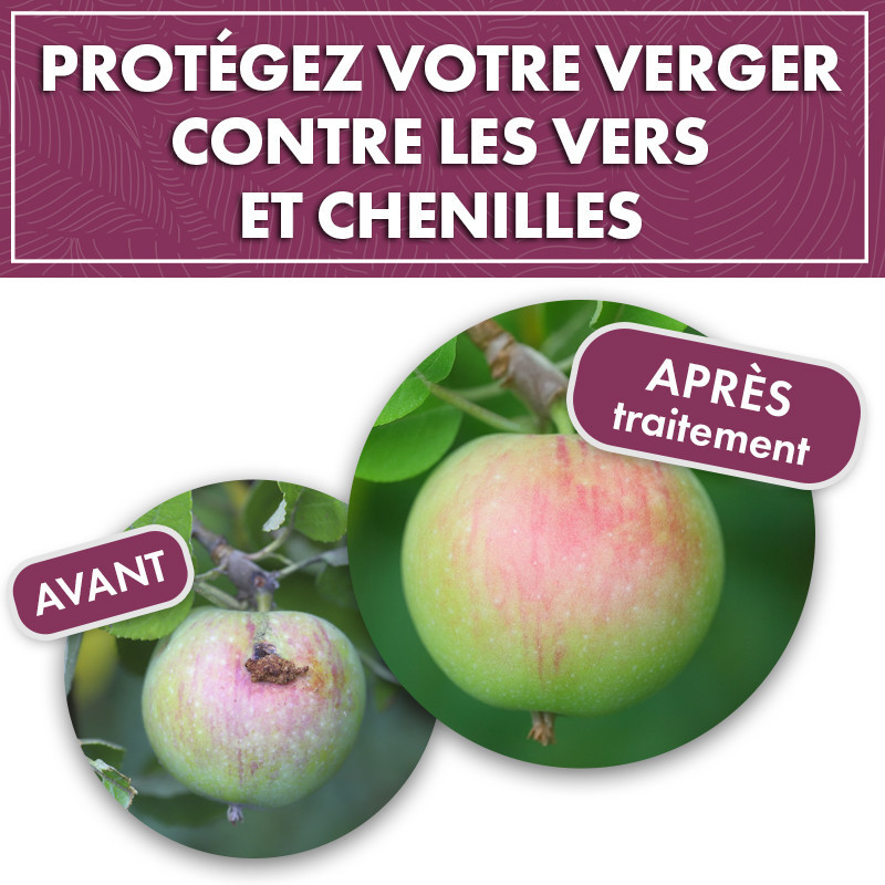 Anti chenilles et vers des arbres fruitiers