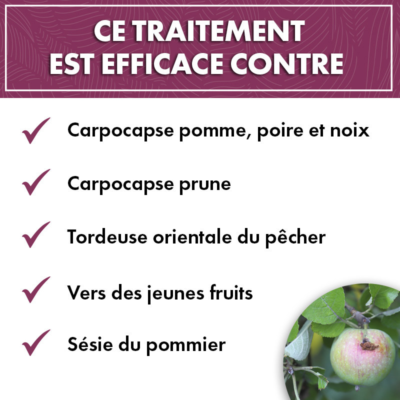 Anti chenilles et vers des arbres fruitiers
