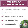Anti chenilles et vers des arbres fruitiers