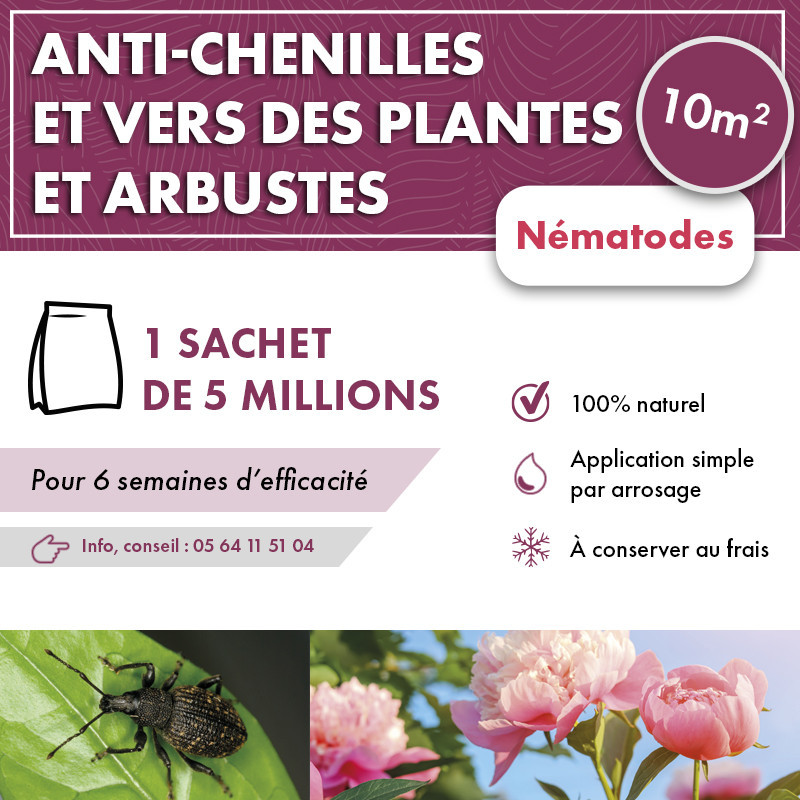 Anti chenilles et vers des plantes et arbustes
