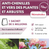 Anti chenilles et vers des plantes et arbustes