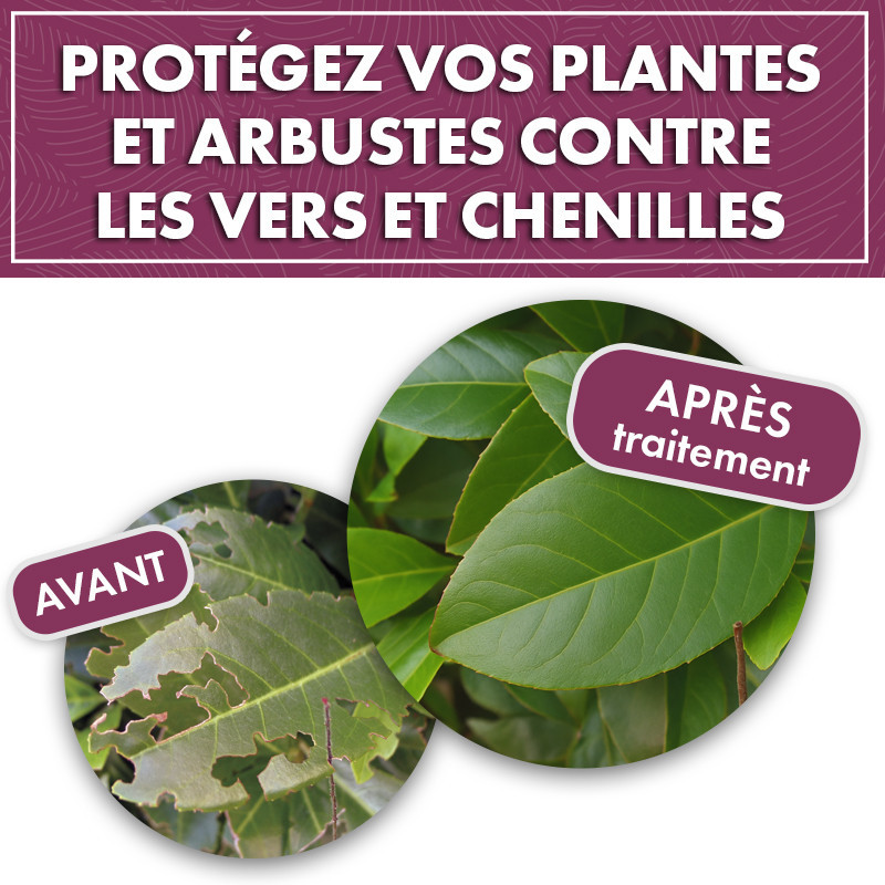 Anti chenilles et vers des plantes et arbustes