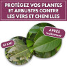 Anti chenilles et vers des plantes et arbustes