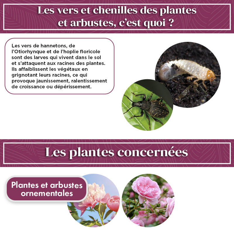 Anti chenilles et vers des plantes et arbustes
