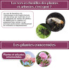 Anti chenilles et vers des plantes et arbustes