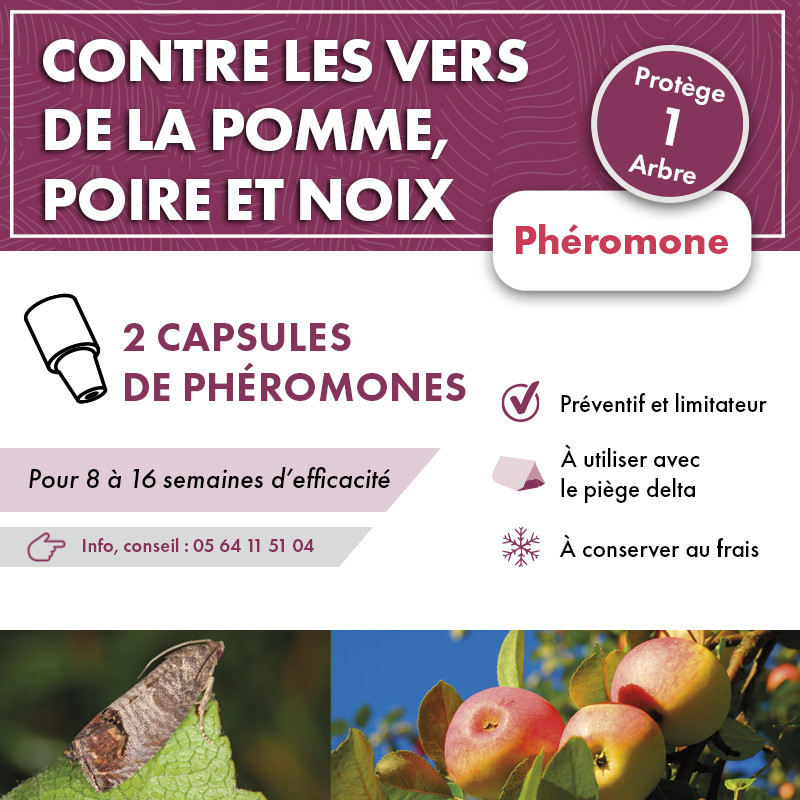 Phéromone vers pomme, poire et noix