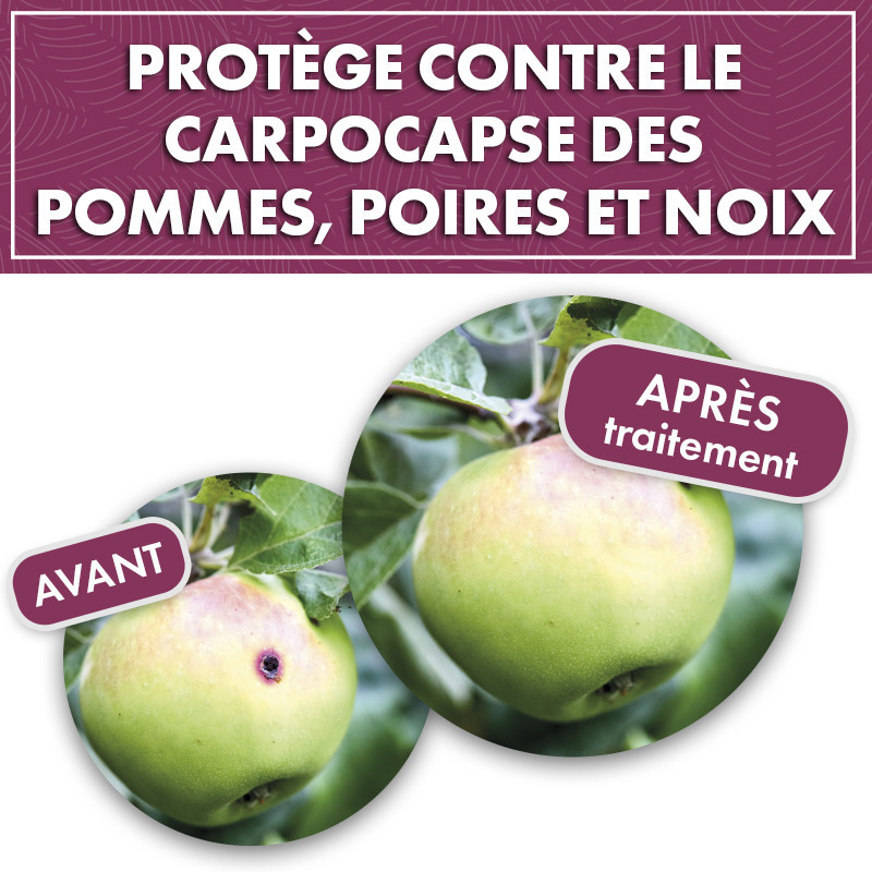 Phéromone vers pomme, poire et noix