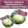 Phéromone vers pomme, poire et noix