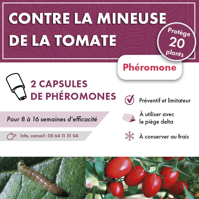 Phéromone mineuse de la tomate
