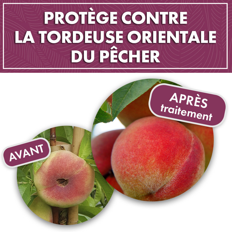 Phéromone tordeuse orientale du pêcher