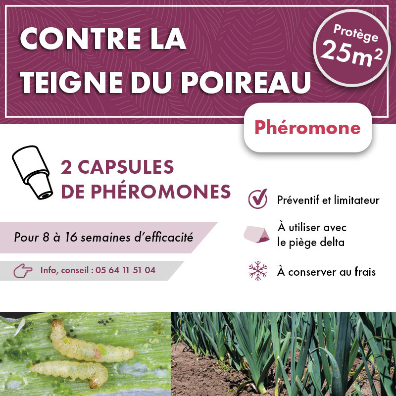 Phéromone teigne du poireau