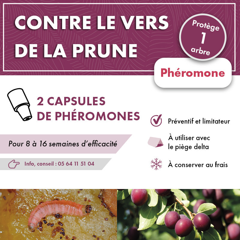 Phéromone vers de la prune