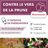 Phéromone vers de la prune
