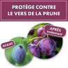 Phéromone vers de la prune