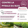 Phéromone pyrale du buis