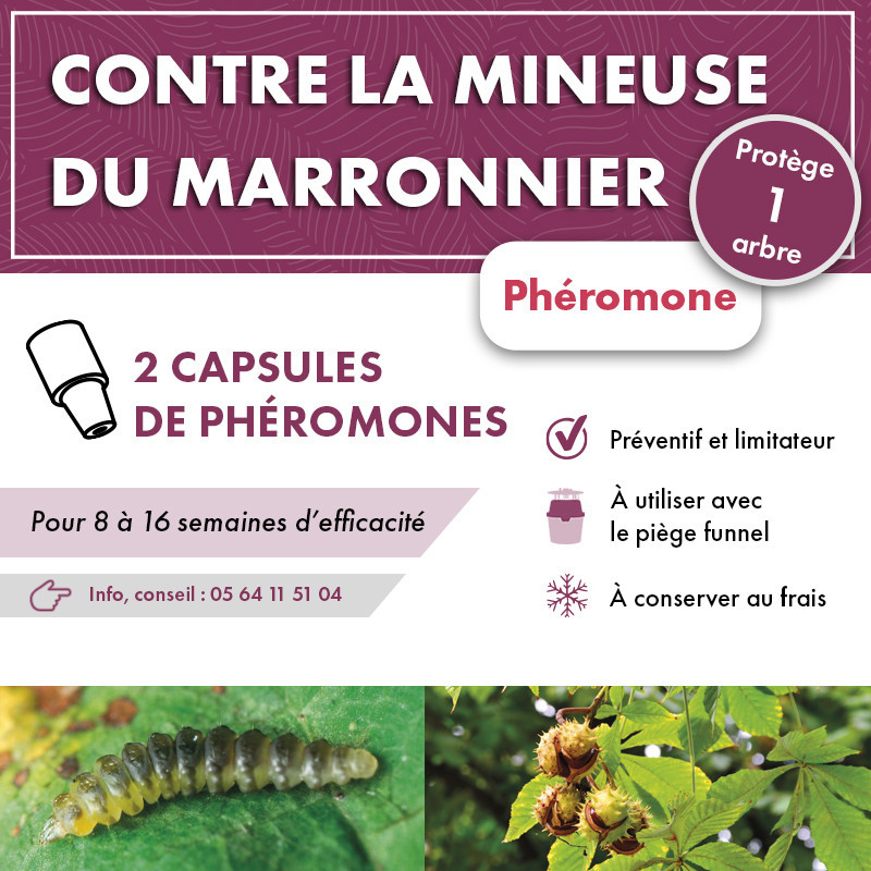 Phéromone mineuse du marronnier