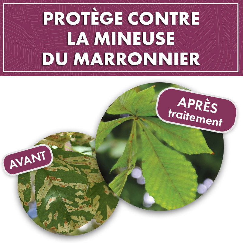 Phéromone mineuse du marronnier