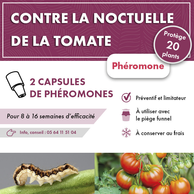 Phéromone noctuelle de la tomate