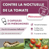 Phéromone noctuelle de la tomate