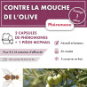 Kit mouche de l'olive