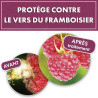 Kit vers des framboisiers