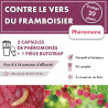 Kit vers des framboisiers