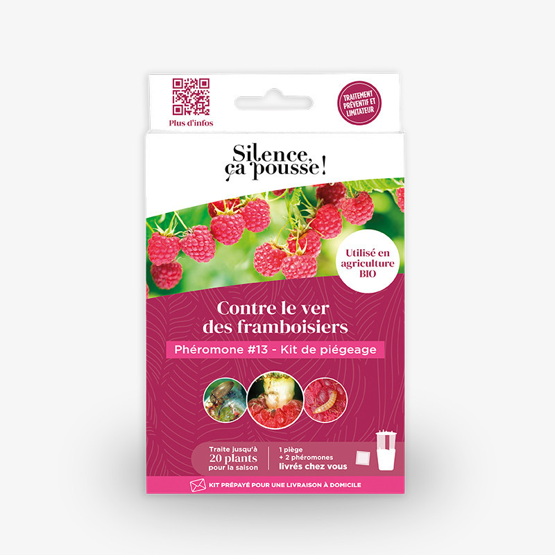 Kit vers des framboisiers