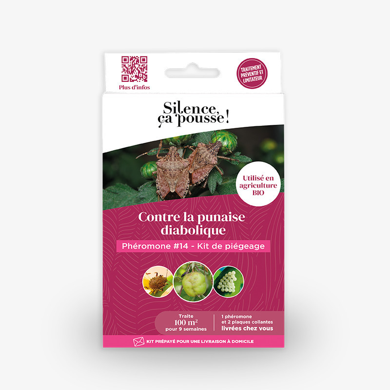 Kit Punaise diabolique