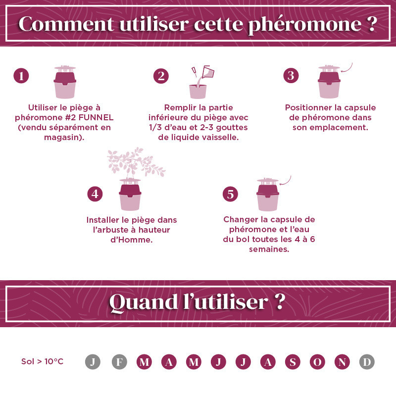 Phéromone pyrale du buis