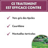 Anti chenilles et vers du gazon