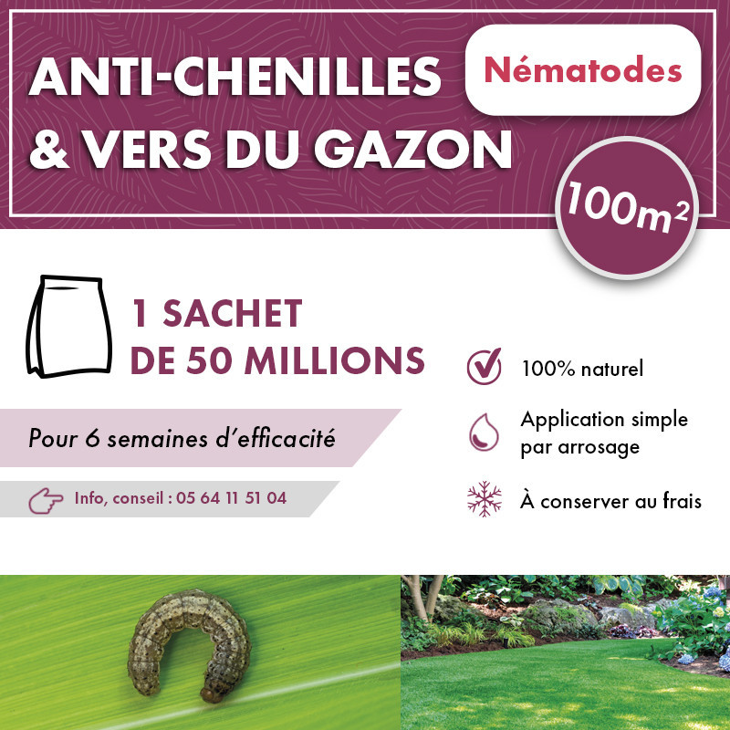 Anti chenilles et vers du gazon