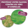 Anti chenilles et vers du gazon