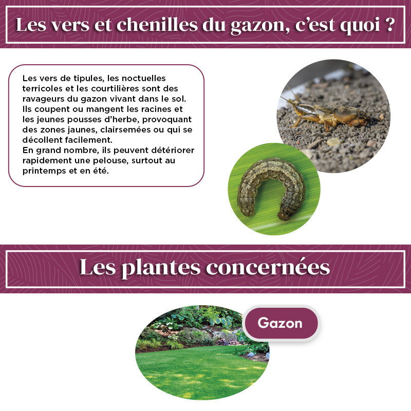 Anti chenilles et vers du gazon