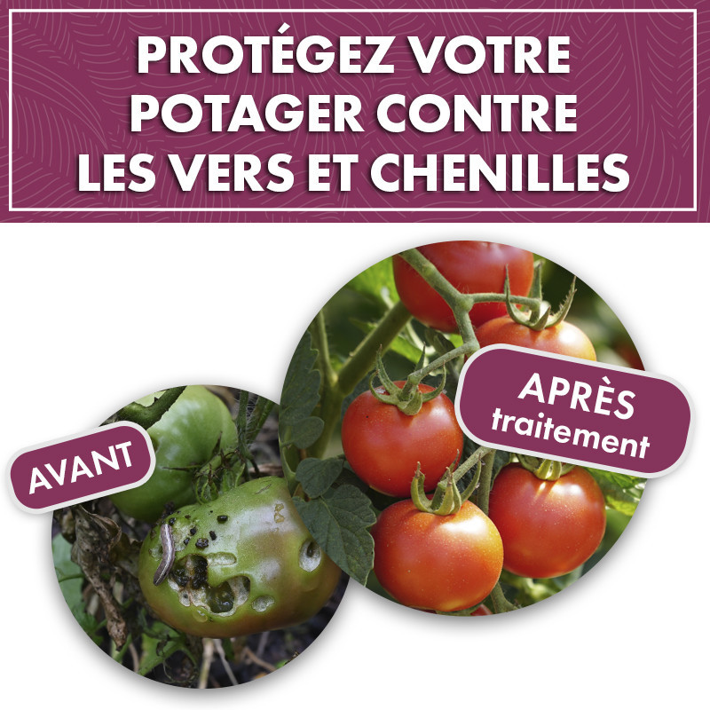 Anti chenilles et vers du potager