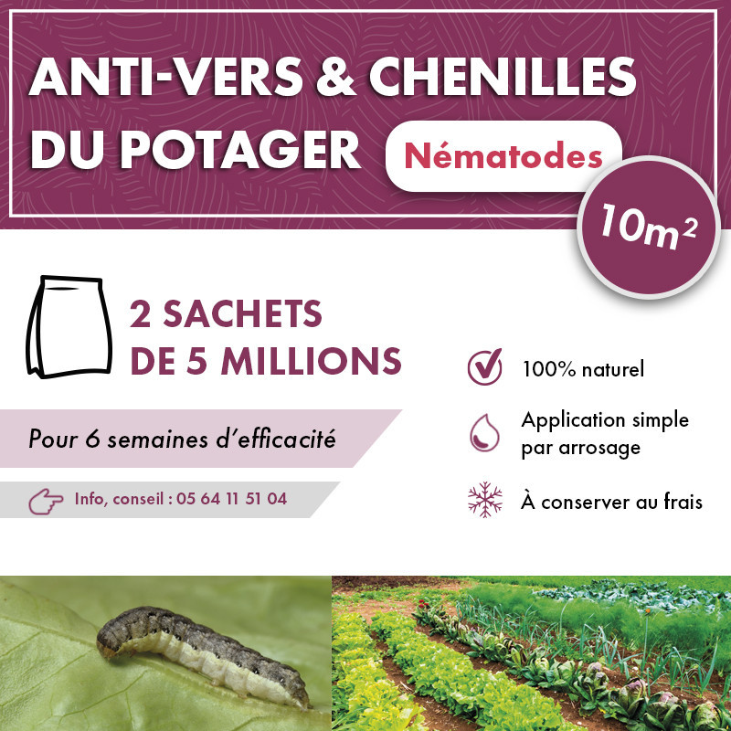 Anti chenilles et vers du potager