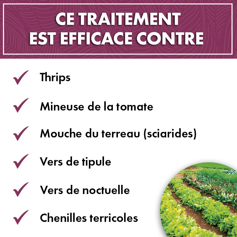 Anti chenilles et vers du potager