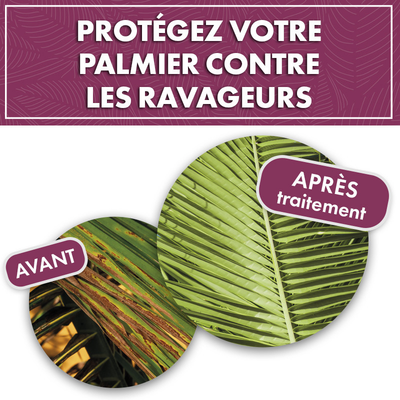 Anti ravageurs des palmiers